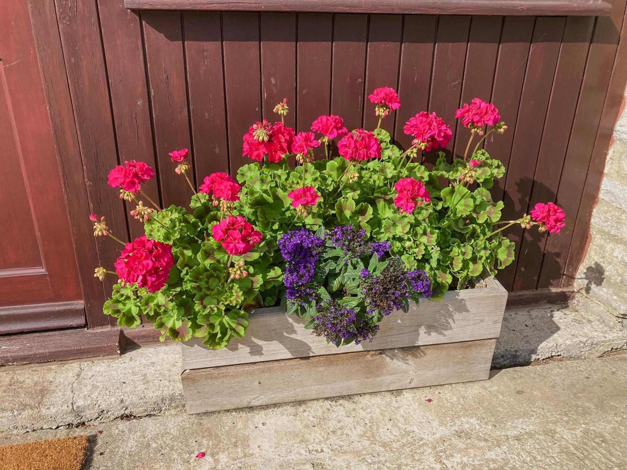 Bee Cottage East Lydford Εξωτερικό φωτογραφία