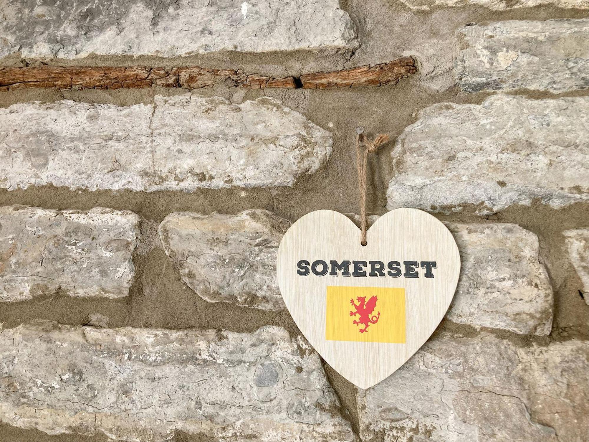 Bee Cottage East Lydford Εξωτερικό φωτογραφία
