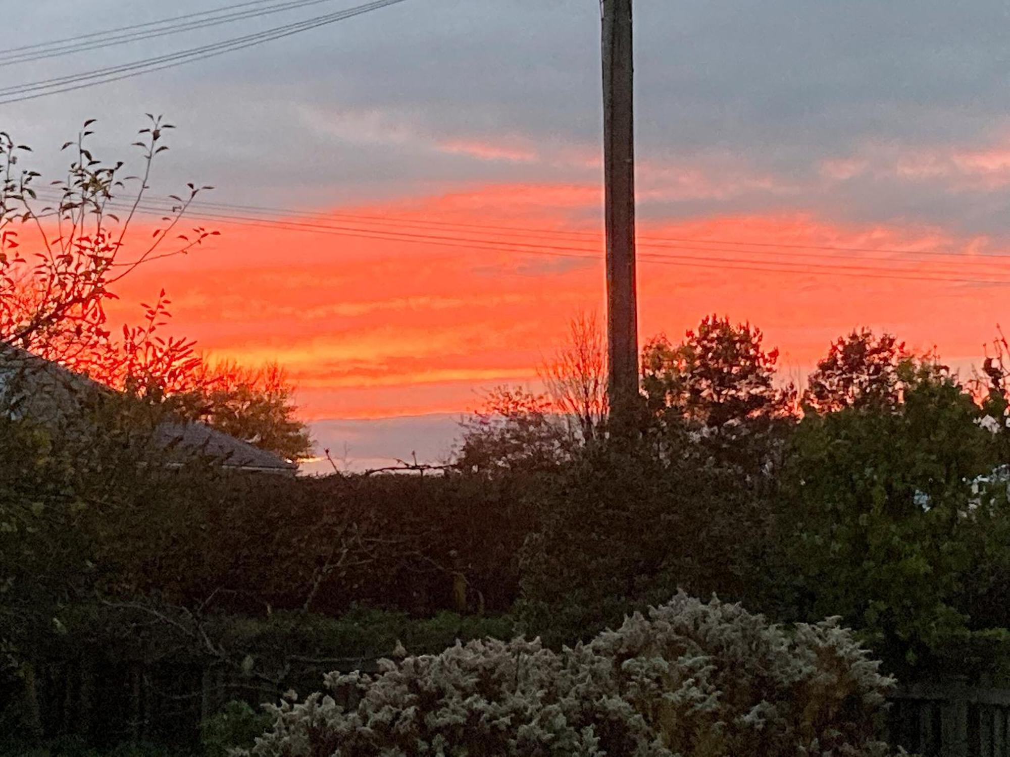 Bee Cottage East Lydford Εξωτερικό φωτογραφία